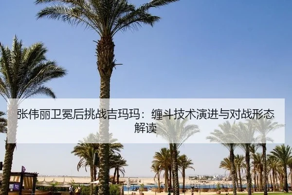 zhang-wei-li-wei-mian-hou-tiao-zhan-ji-ma-ma-chan-dou-ji-shu-yan-jin-yu-dui-zhan-xing-tai-jie-du-2-639.jpg