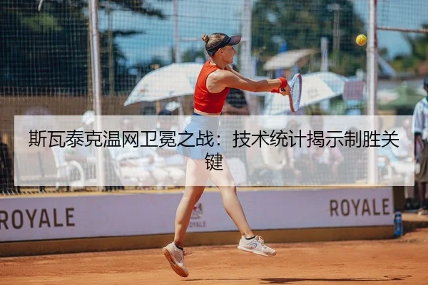 si-wa-tai-ke-wen-wang-wei-mian-zhi-zhan-ji-shu-tong-ji-jie-shi-zhi-sheng-guan-jian-3-644.jpg