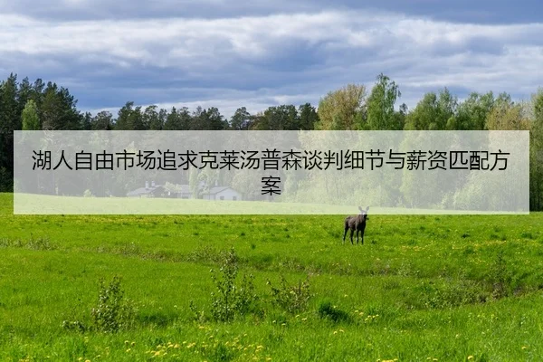hu-ren-zi-you-shi-chang-zhui-qiu-ke-lai-tang-pu-sen-tan-pan-xi-jie-yu-xin-zi-pi-pei-fang-an-2-867.jpg